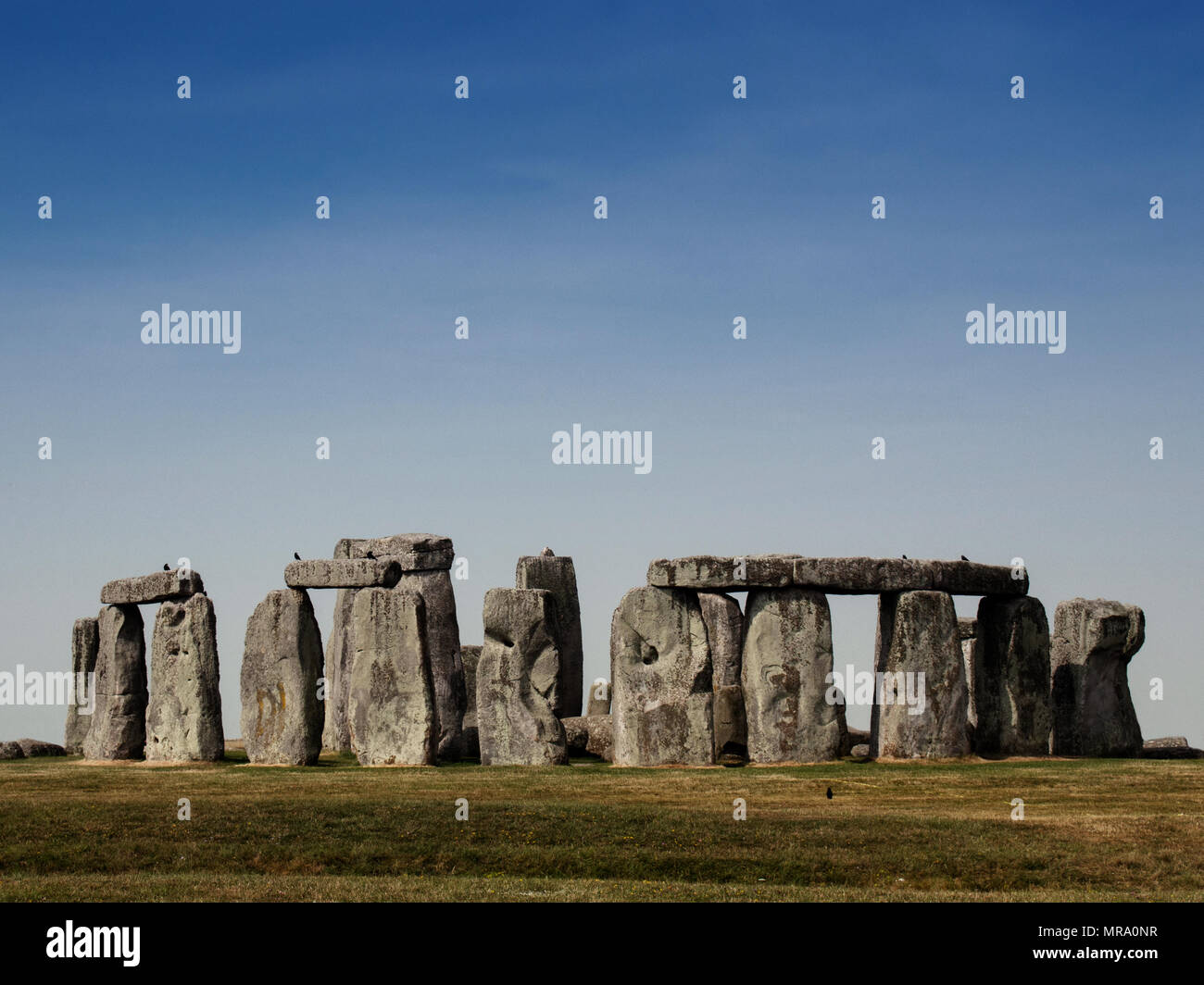 Stonehenge Kreis im Sommer mit blauem Himmel und ohne Menschen, in Salisbury, Großbritannien. Stockfoto
