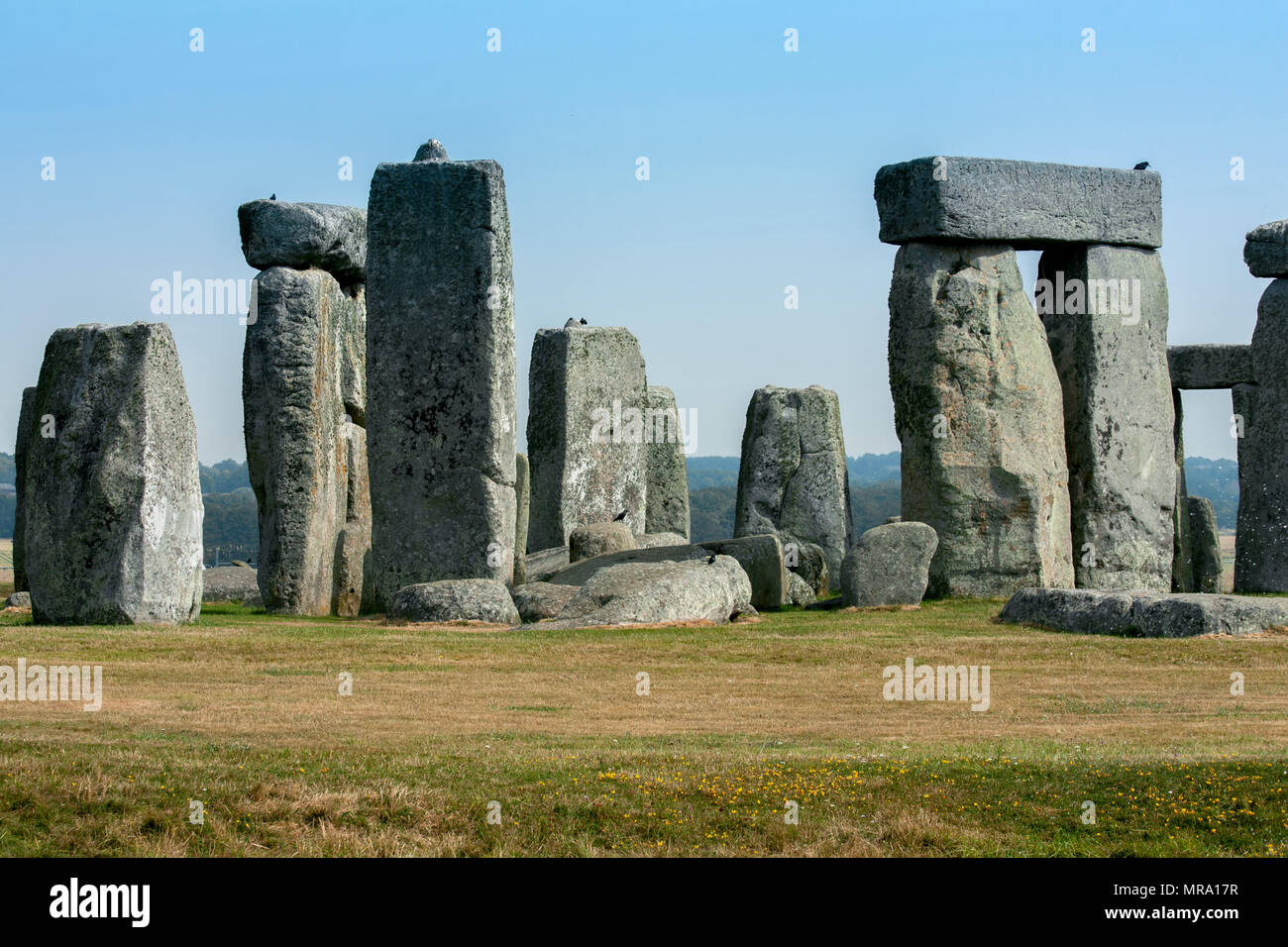 Stonehenge Kreis im Sommer mit blauem Himmel und ohne Menschen, in Salisbury, Großbritannien. Stockfoto