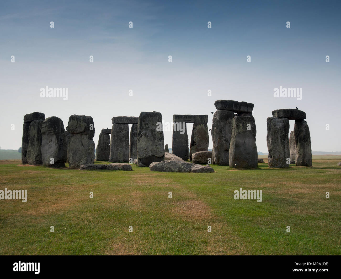 Stonehenge Kreis im Sommer mit blauem Himmel und ohne Menschen, in Salisbury, Großbritannien. Stockfoto