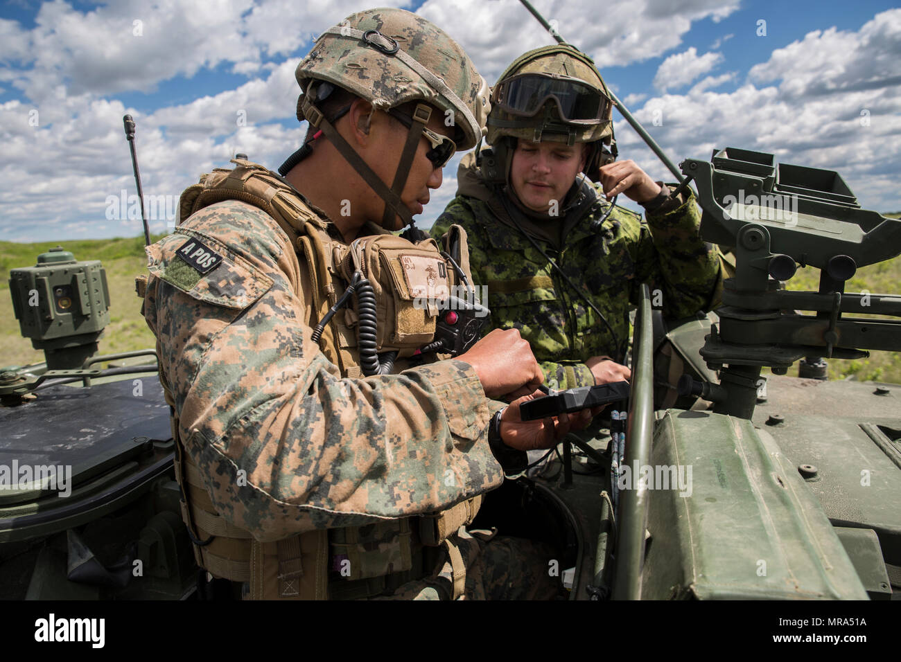 Captain David Wi, gemeinsame Terminal Angriff Controller für 3rd Air Naval Gunfire Liaison Company, Force Headquarters Gruppe, Marine Forces Reserve feeds Ansichten Video aus einer RQ-7 Schatten Unmanned Aerial Vehicle mit einem Scout Beobachter Reconnaissance Platoon, 2 Royal Canadian Regiment 26. Mai 2017, während des Trainings Maple lösen 17. Übung Ahorn zu beheben ist eine jährliche 3-wöchigen multinationale simulierten Krieg veranstaltet von der kanadischen Armee im kanadischen Manöver-Ausbildungszentrum in Camp Wainwright, Alberta, Kanada. In diesem Jahr unterstützt 3. ANGLICO Übung durch die Integration von zwei Feuerkraft Kontrollteams Stockfoto