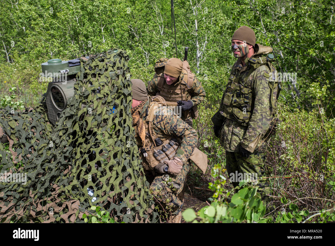 Die 3rd Air Naval Gunfire Liaison Company ist eine Marine-Korps-Einheit, die die Feuerkontrolle im Terminal ermöglicht. Das Archivbild dokumentiert die gemeinsame Integration der Feuerunterstützung mit kanadischen Truppen während der Übung Maple Resolve in Camp Wainwright, Alberta, am 25. Mai 2017. Stockfoto