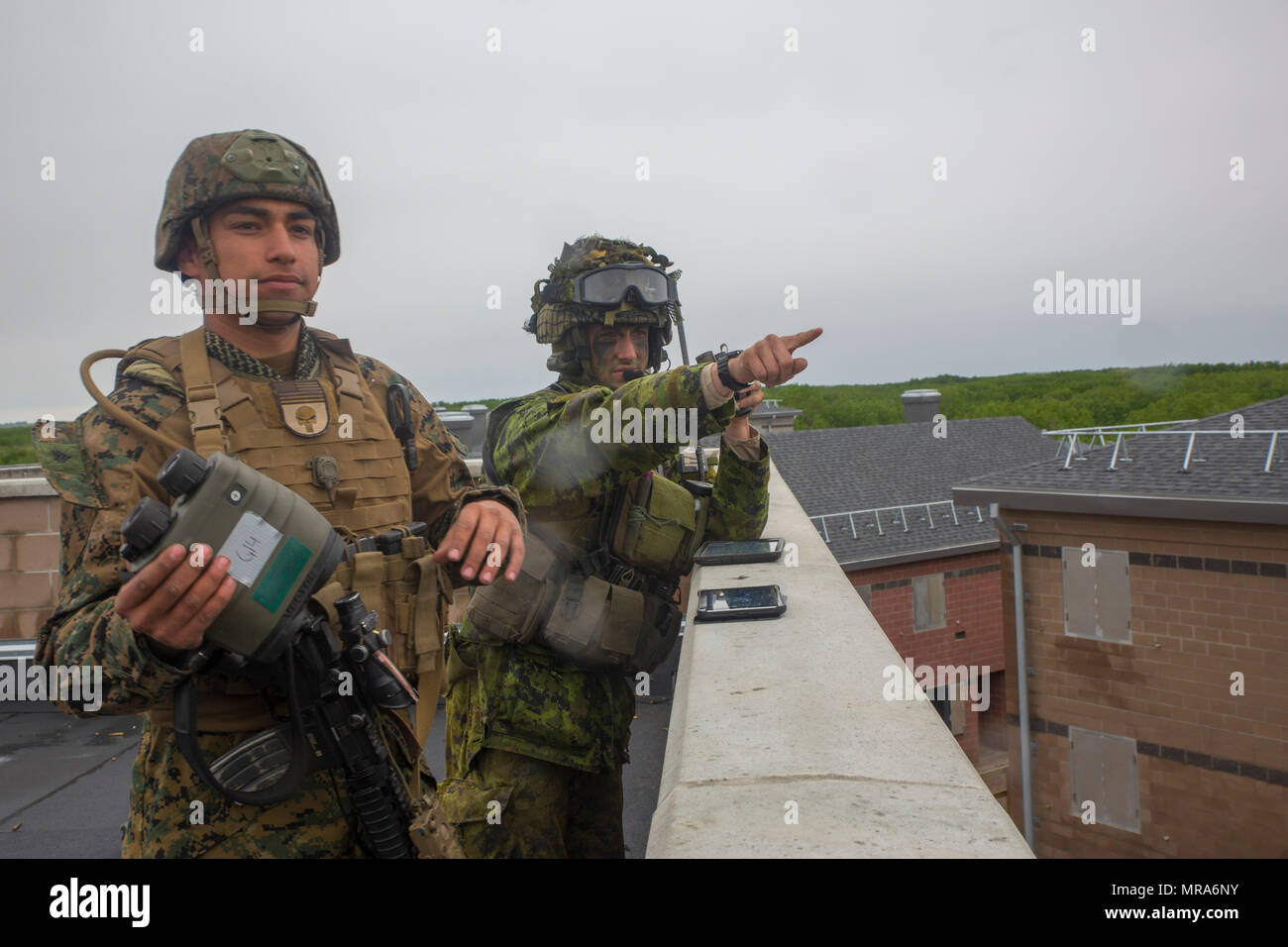 Übung Maple Resolve 17 war eine multinationale Trainingsübung, die im Mai 2017 im Canadian Manovre Training Center in Wainwright, Alberta, Kanada, durchgeführt wurde. Das Archivfoto dokumentiert einen gemeinsamen Feuerbeobachter der 3rd Air Naval Gunfire Liaison Company, Marine Forces Reserve, der sich mit einem gemeinsamen Angriffskontrolleur der Royal Canadian Horse Artillery koordiniert und dabei Geländemerkmale und simulierte Artillerieziele identifiziert. Stockfoto
