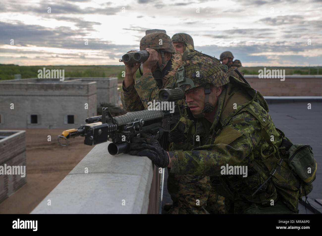 Übung Maple Resolve 17 war eine monatelange internationale Validierungsübung, die im Mai 2017 im Canadian Manovre Training Center in Wainwright, Alberta, Kanada, durchgeführt wurde. Das Archivfoto dokumentiert Mitarbeiter des 1. Royal Canadian Regiment und der 3. Air Naval Gunfire Liaison Company, Marine Forces Reserve, die das Gelände von einem erhöhten Beobachtungsposten aus beobachten, um die Interoperabilität zwischen der kanadischen Armee und den US-Marine-Truppen zu verbessern. Stockfoto