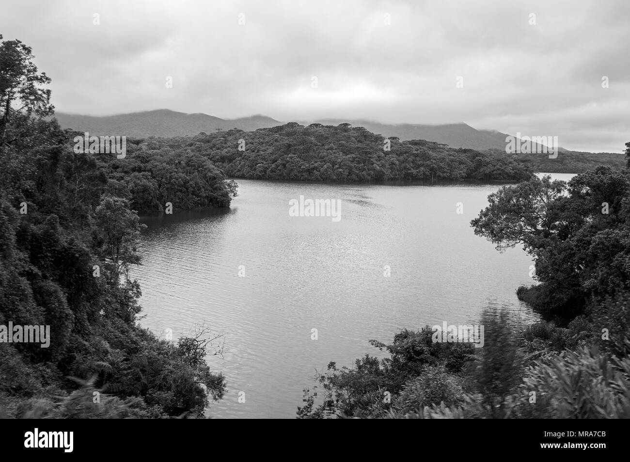 Atlantica Regenwald Dschungel Bergsee trüb draußen schwarz weiß Stockfoto