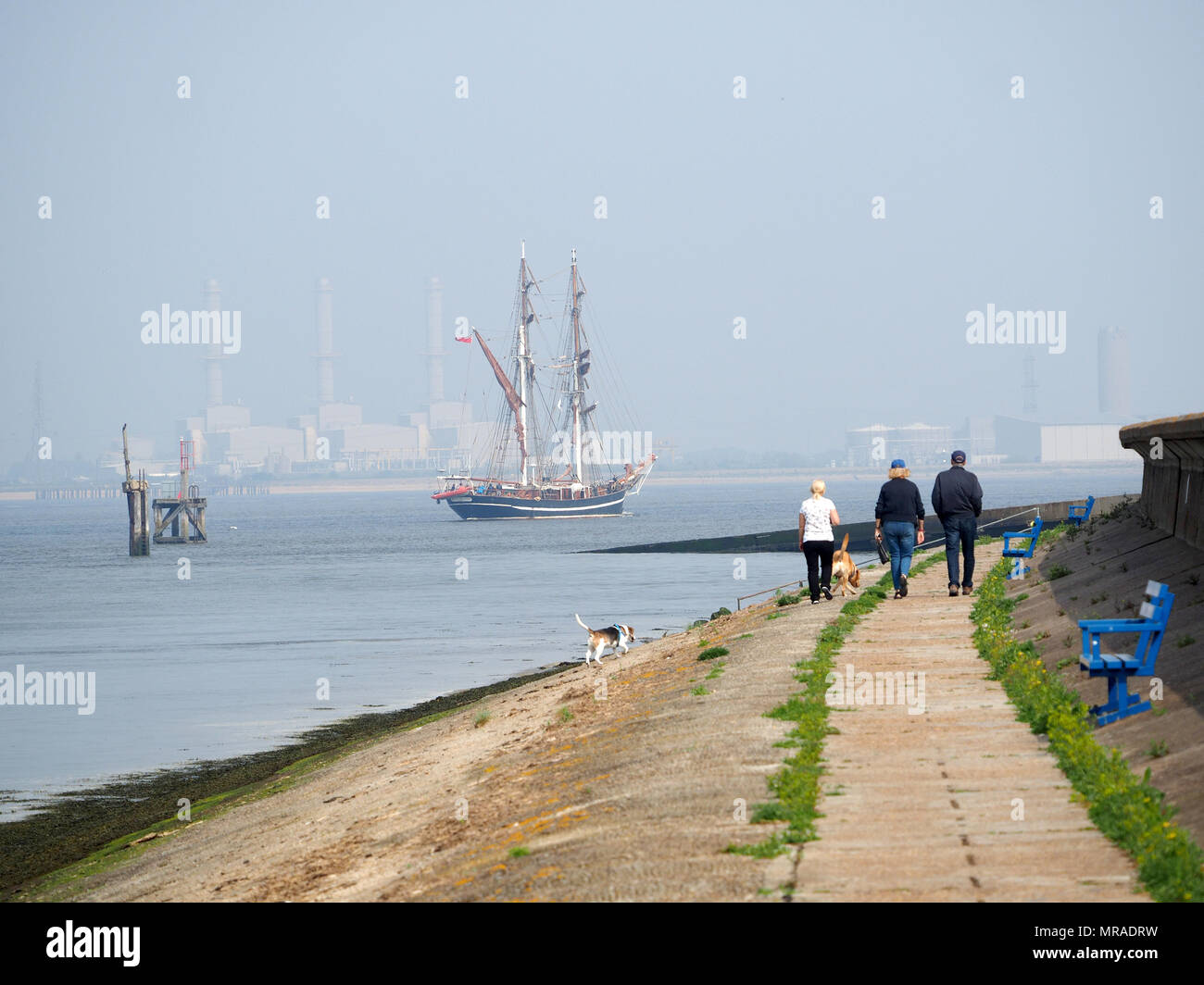 Queenborough, Kent, UK. 26 Mai, 2018. UK Wetter: sonnig und warm, morgen aber mit viel dunstige Meer Nebel früh an. Das große Schiff "Eye of the Wind" fährt Queenborough, Kent. Die 107 Jahre alte Auge der Wind (40 x 7 m, 1911 erbaut) hat in einigen Filmen. Credit: James Bell/Alamy leben Nachrichten Stockfoto