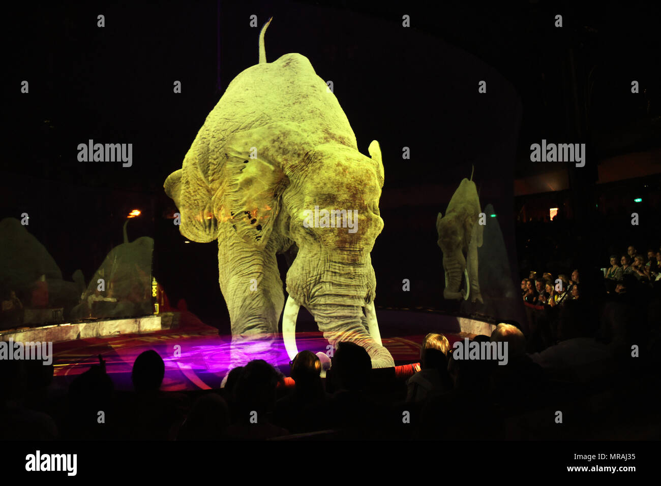 25. Mai 2018, Deutschland, Düsseldorf: Elefant Hologramme schweben durch  den Ring am Abend der Premiere des "Circus Roncalli" an der Rheinpark mit  dem Programm: toryteller Yesterday-Today-Morgen". Clowns, Zauberer und  Künstler werden in