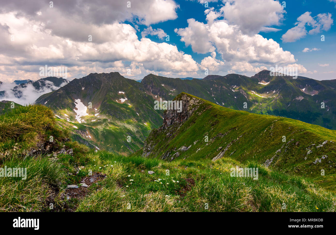 Grasbewachsene Hügel auf felsigen Klippen von Fagaras Gebirge. schönen Sommer Landschaft der Südkarpaten, Rumänien Stockfoto