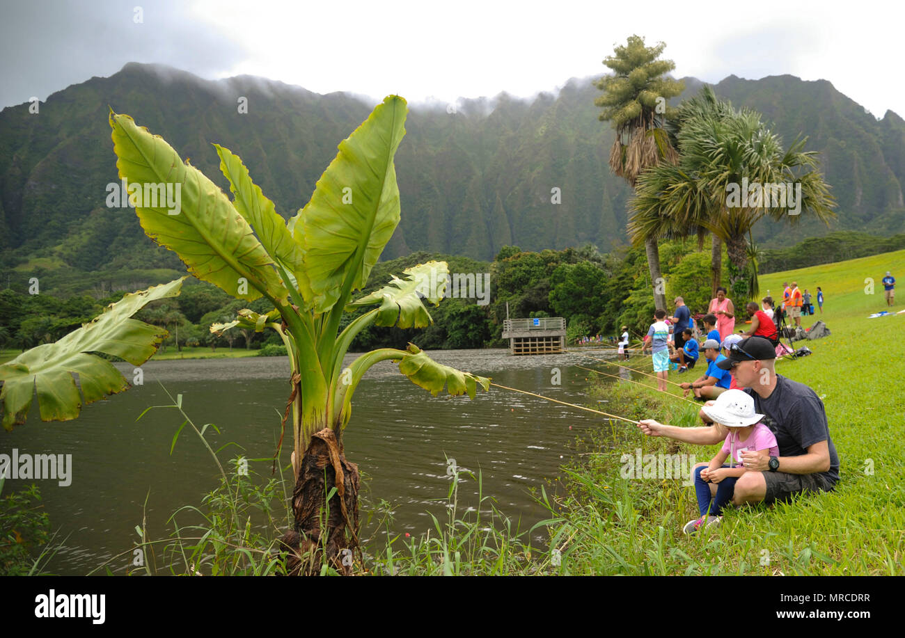 Familien Linie Entlang Der Ho Omaluhia Botanical Gardens Behalter