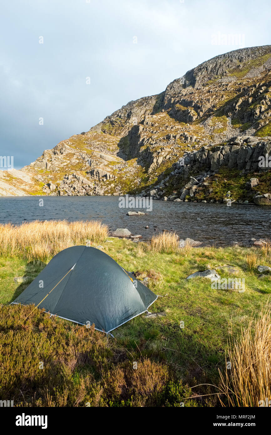 Zelt aufgeschlagen auf einem Welsh Mountain während einer wilden Campen in der rhinog Hügel Stockfoto