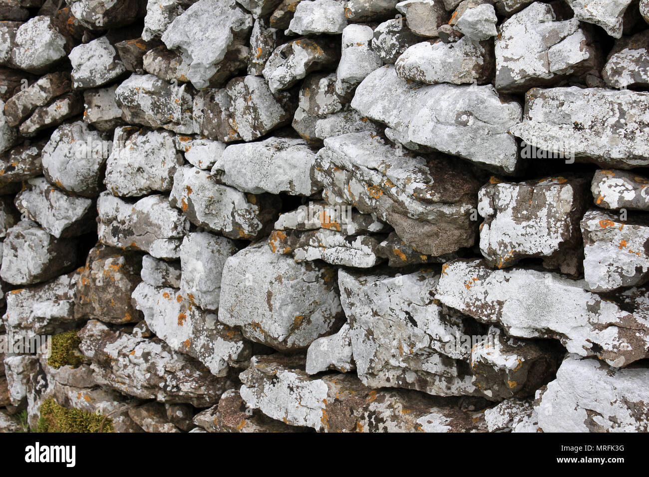 Flechten auf eine Mauer aus Stein Stockfoto