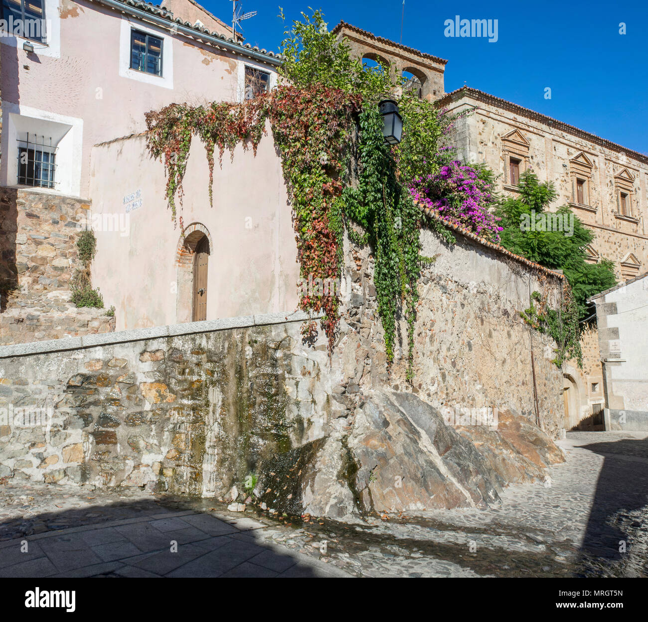 Alte Gebäude voller Efeu und Blumen, Caceres historisches Viertel, Spanien Stockfoto