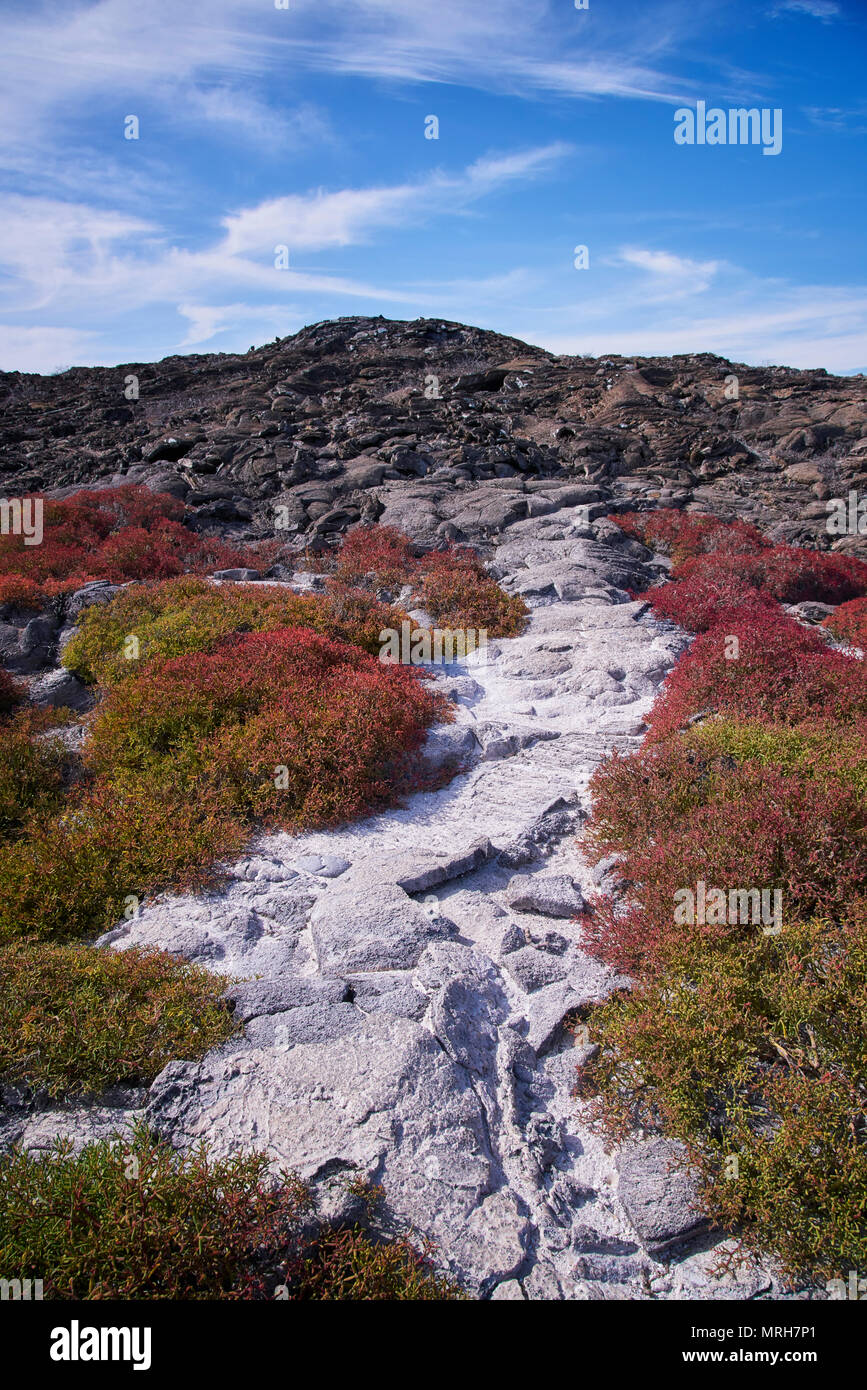 Die raue Landschaft der Chinesischen Hut in den Galapagos Inseln Stockfoto