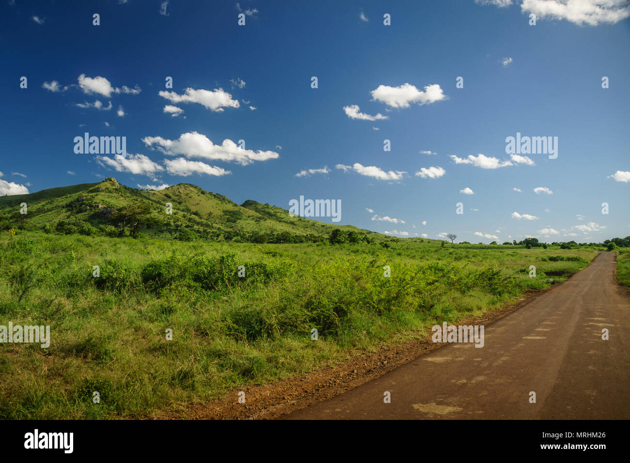 Straße in Hluhluwe Afrika Stockfoto