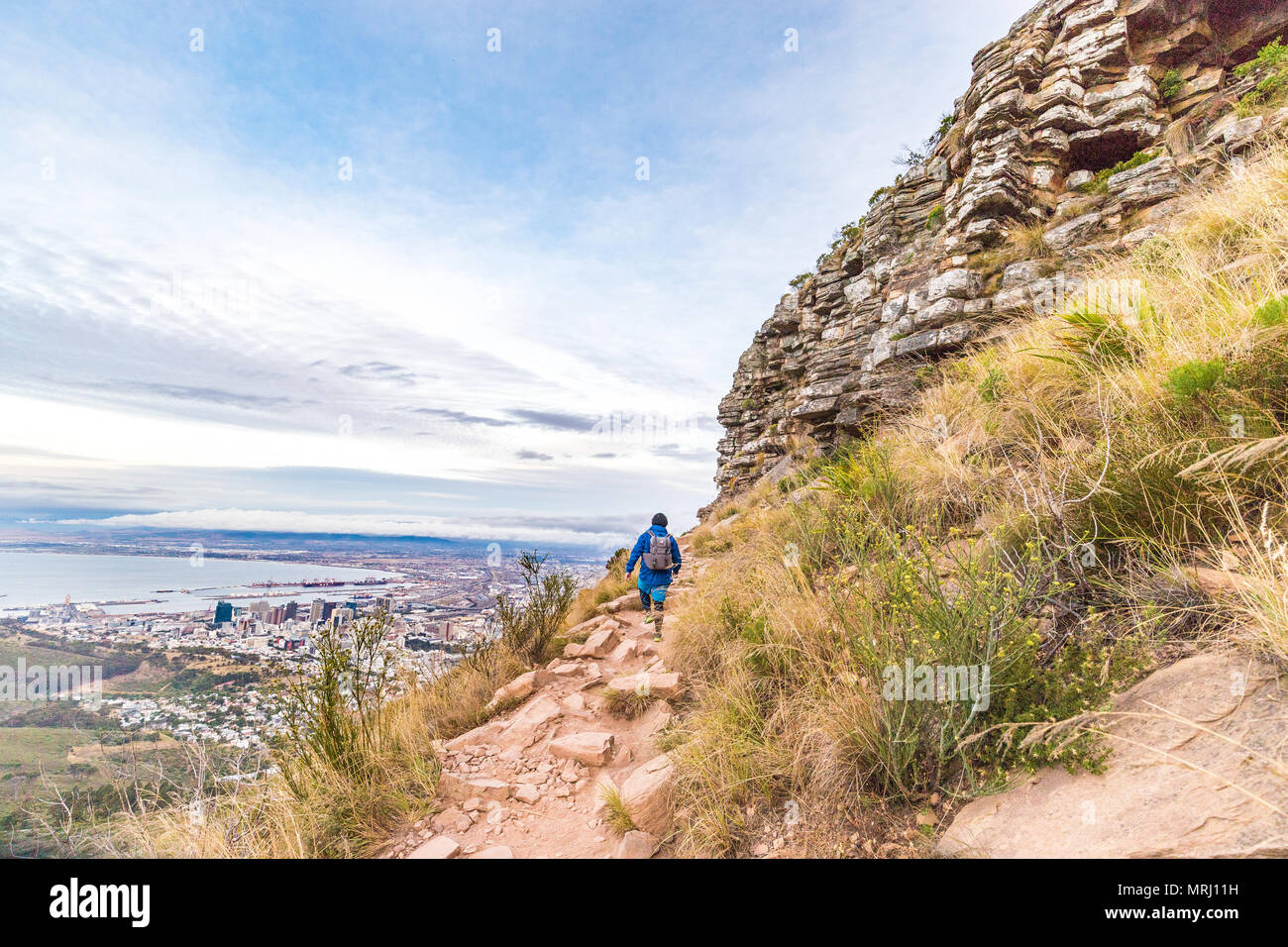 Blick vom Lion's Head, Kapstadt Stockfoto