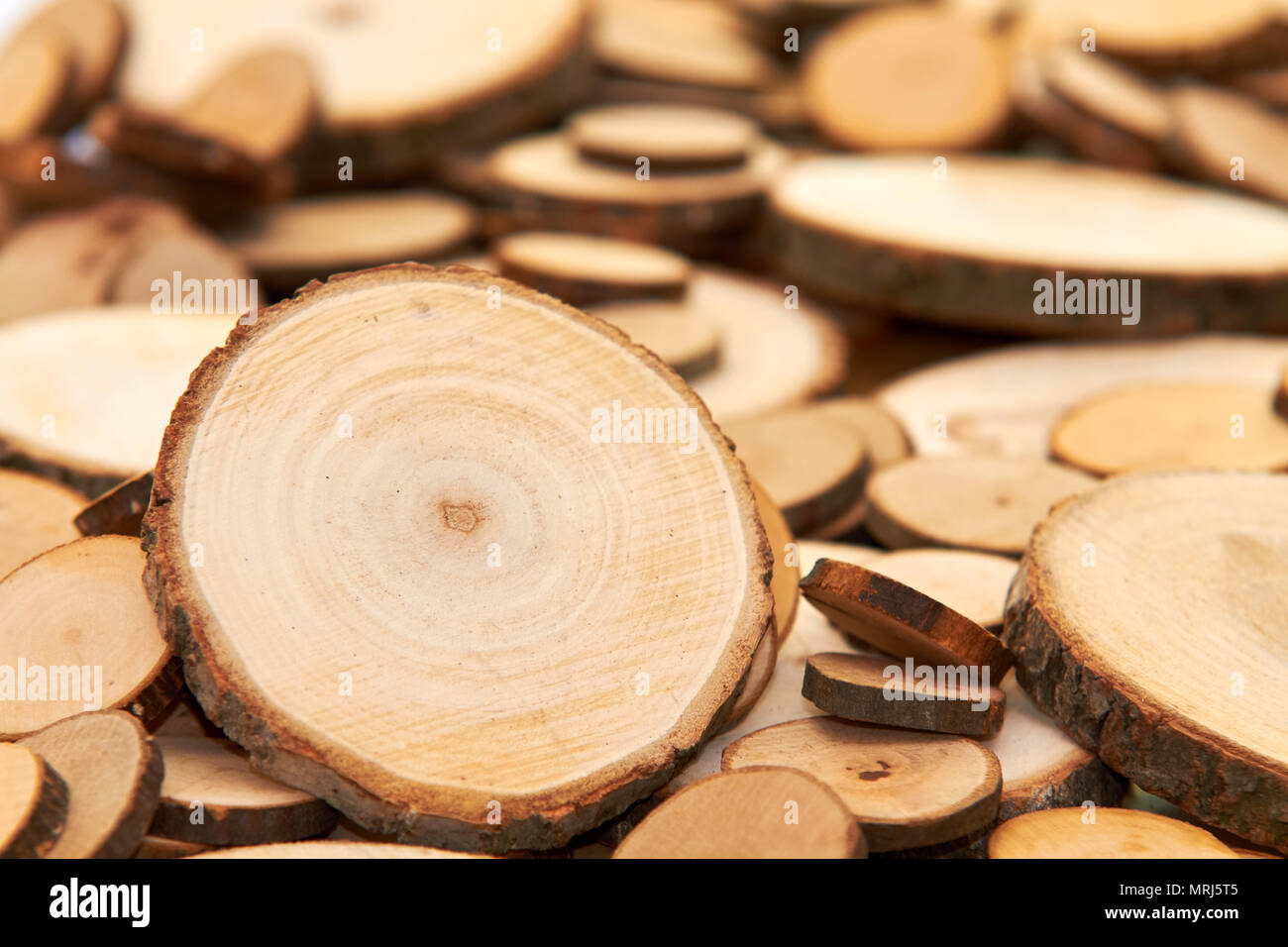 Holz Querschnitt Baum Ringe schneiden Schneiden Braun Stumpf Stockfoto