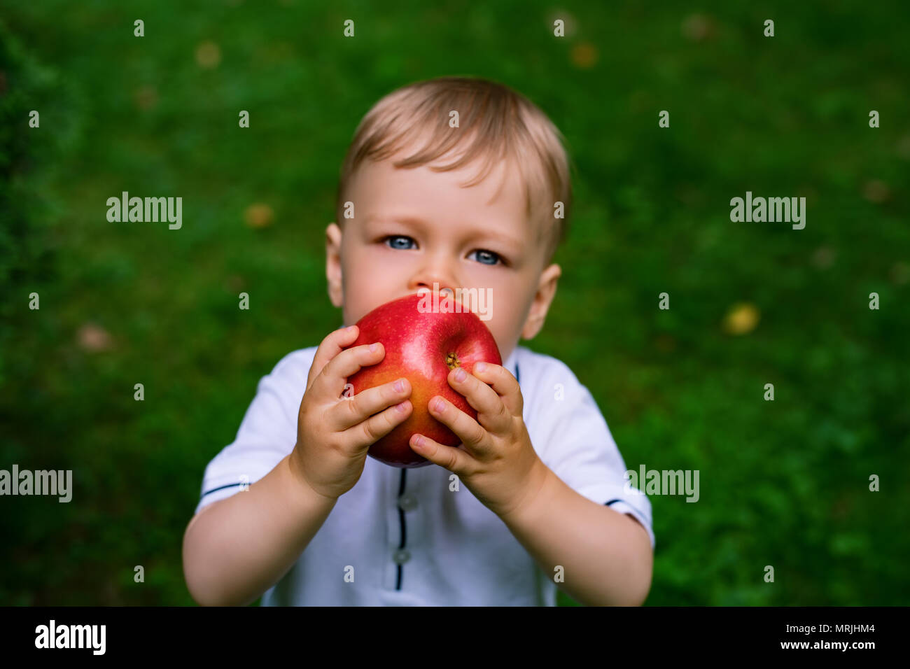 Ein Jahr Kind essen Big Red Apple im Freien. Konzentrieren Sie sich auf Apple. Stockfoto