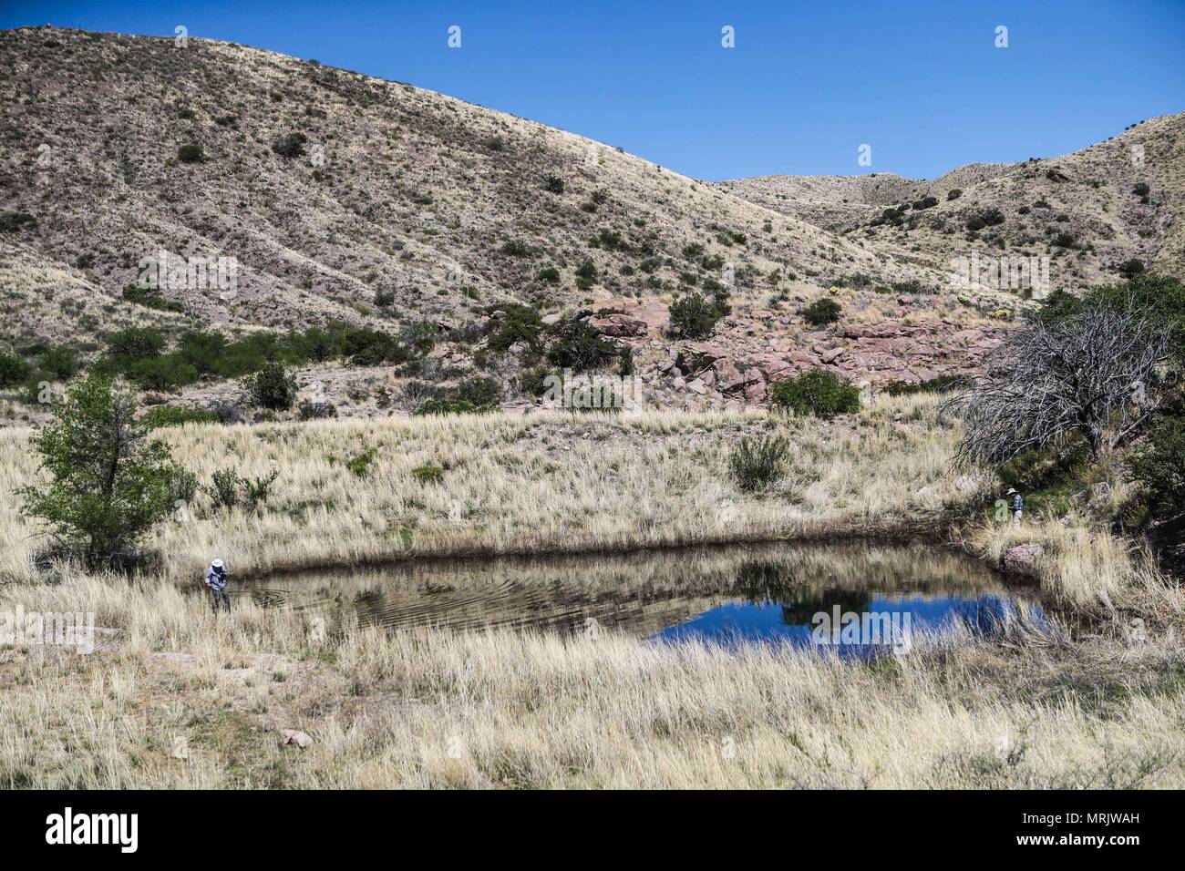 Cuenca los Ojos Naturschutzgebiet in Sonora MEXIKO. Reserva natural Cuenca los Ojos Die Cuenca Los Ojos Stiftung arbeitet zu bewahren und die bi-Wiederherstellung Stockfoto