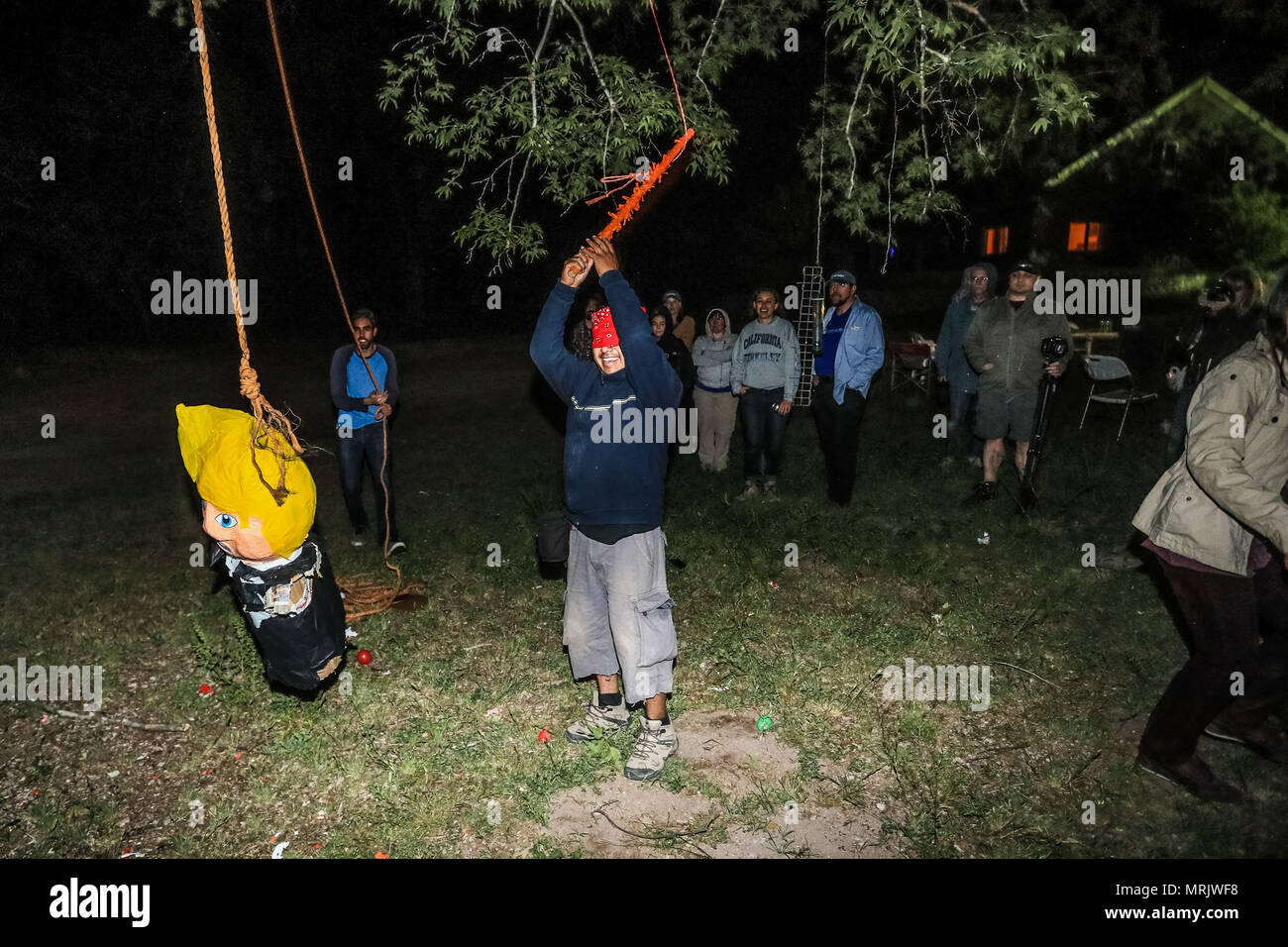 Der fotojournalist Luis Gutierrez de Norte Foto und Biologen aus den USA und Mexiko, mit einem Holzstab, ein Donald Trump piñata. Stockfoto