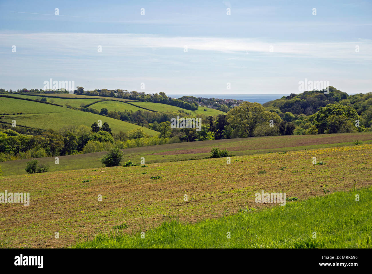 Wunderschöne grüne Landschaft mit Feldern. Stockfoto