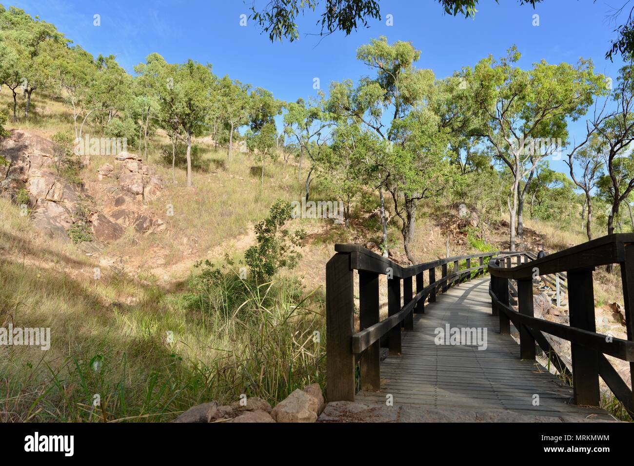 Holzbrücke über die cudtheringa Track bis Castle Hill, Castle Hill, QLD 4810, Australien Stockfoto