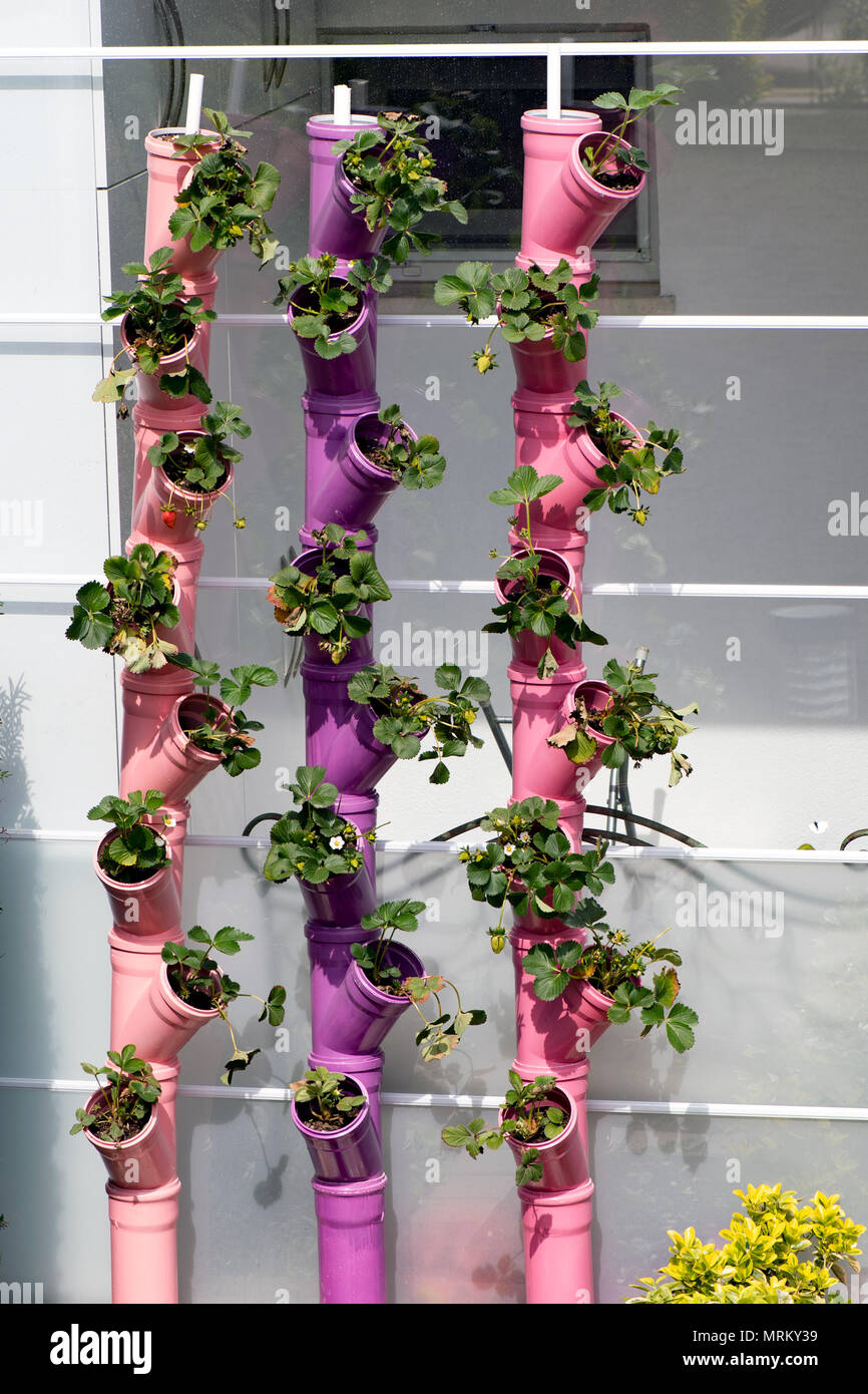 Diy garten Projekt, Istanbul Stockfoto