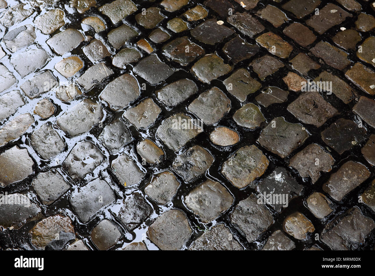 Nasse Straße mit Kopfsteinpflaster, Altstadt Luzern, Schweiz, Europa  Stockfotografie - Alamy