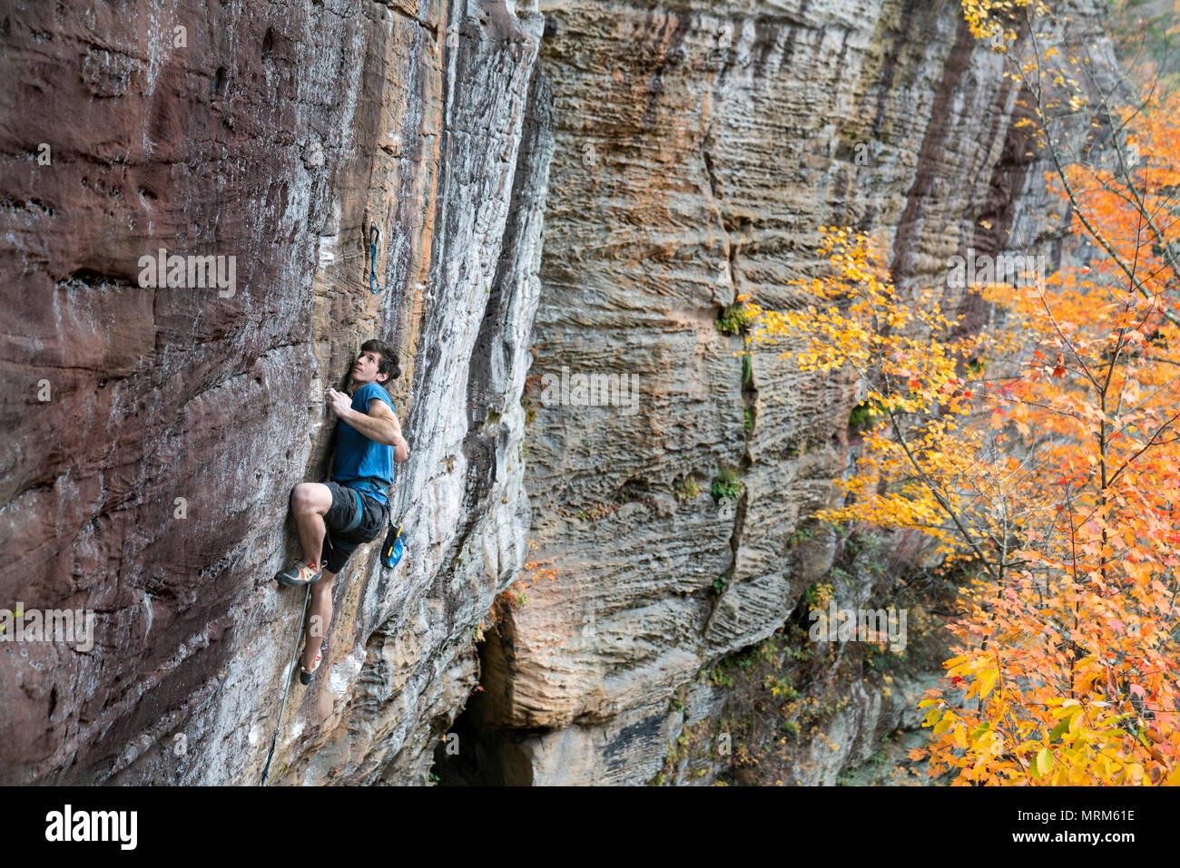 Mann, der für die nächste Bewegung an der Kletterwand Stockfoto