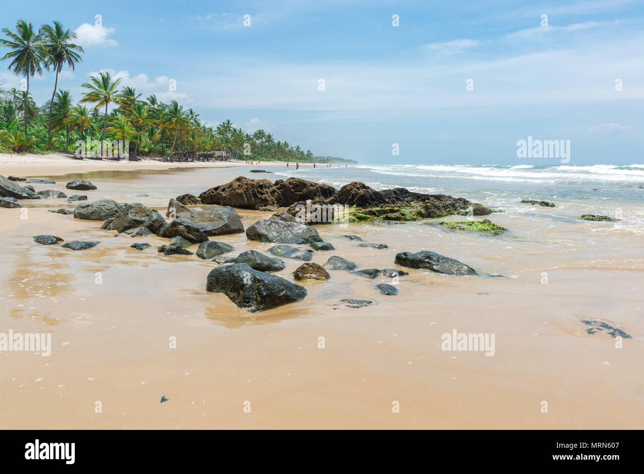 Schöner Strand und Natur in der Nähe von Itacare in Bahia Brasilien Stockfoto