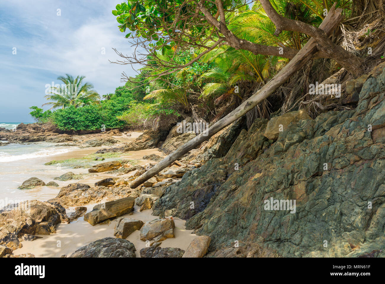 Schöner Strand und Natur in der Nähe von Itacare in Bahia Brasilien Stockfoto