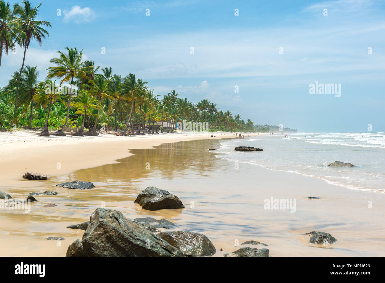 Schöner Strand und Natur in der Nähe von Itacare in Bahia Brasilien Stockfoto