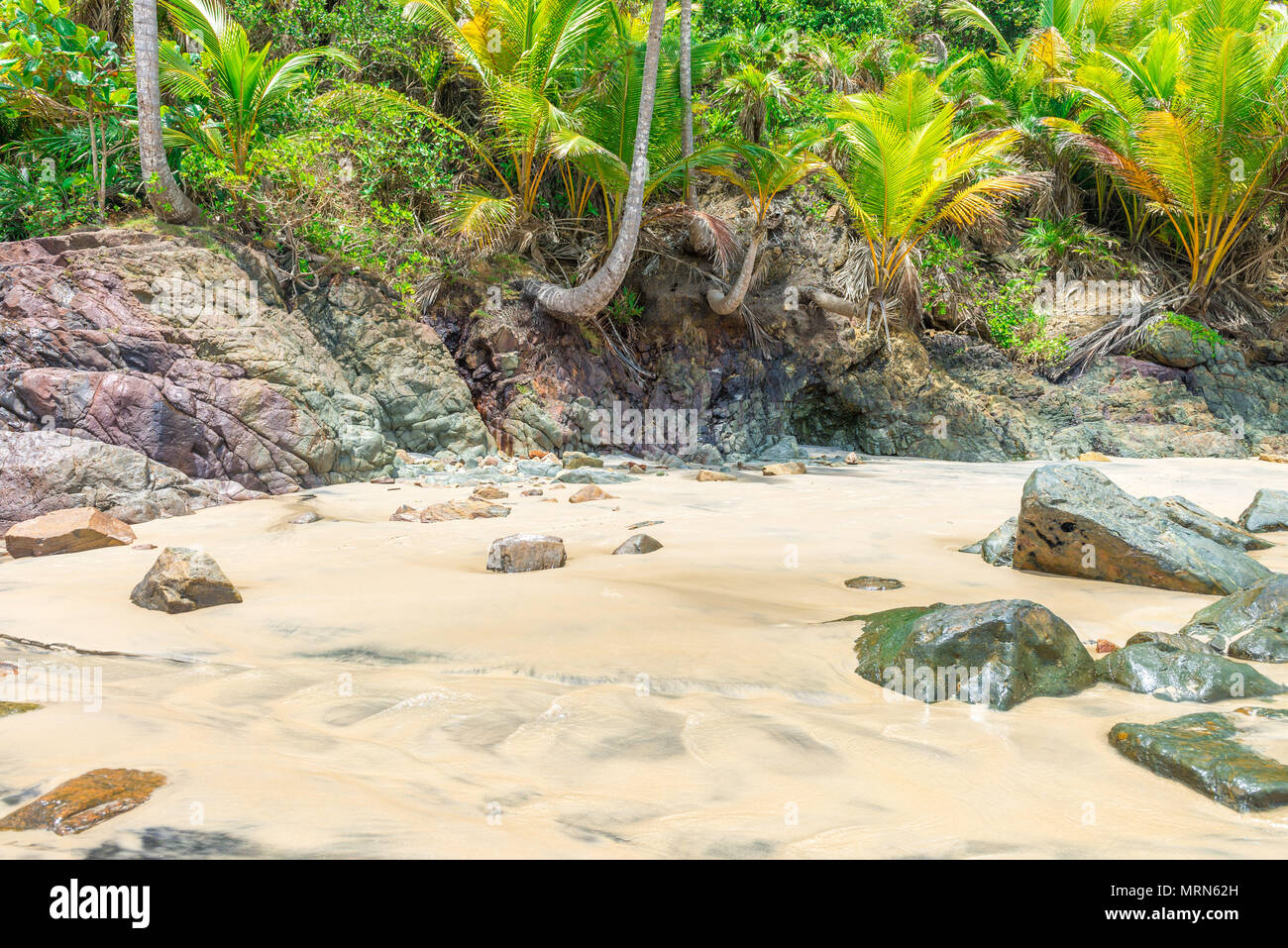 Schöner Strand und Natur in der Nähe von Itacare in Bahia Brasilien Stockfoto