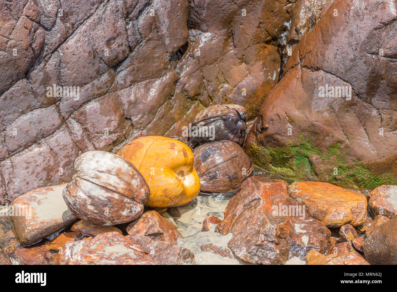 Kleiner Wasserfall zwischen Felsen und Steinen in Moos am Strand Stockfoto