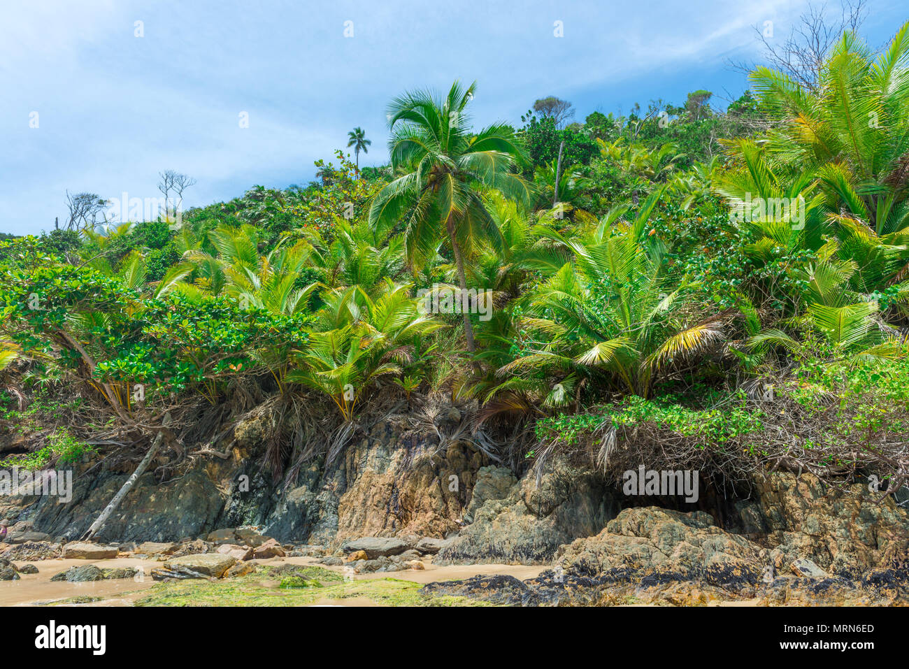 Natürliche Vegetation monster Gesicht von Natur auf der rechten Innenseite getan Stockfoto