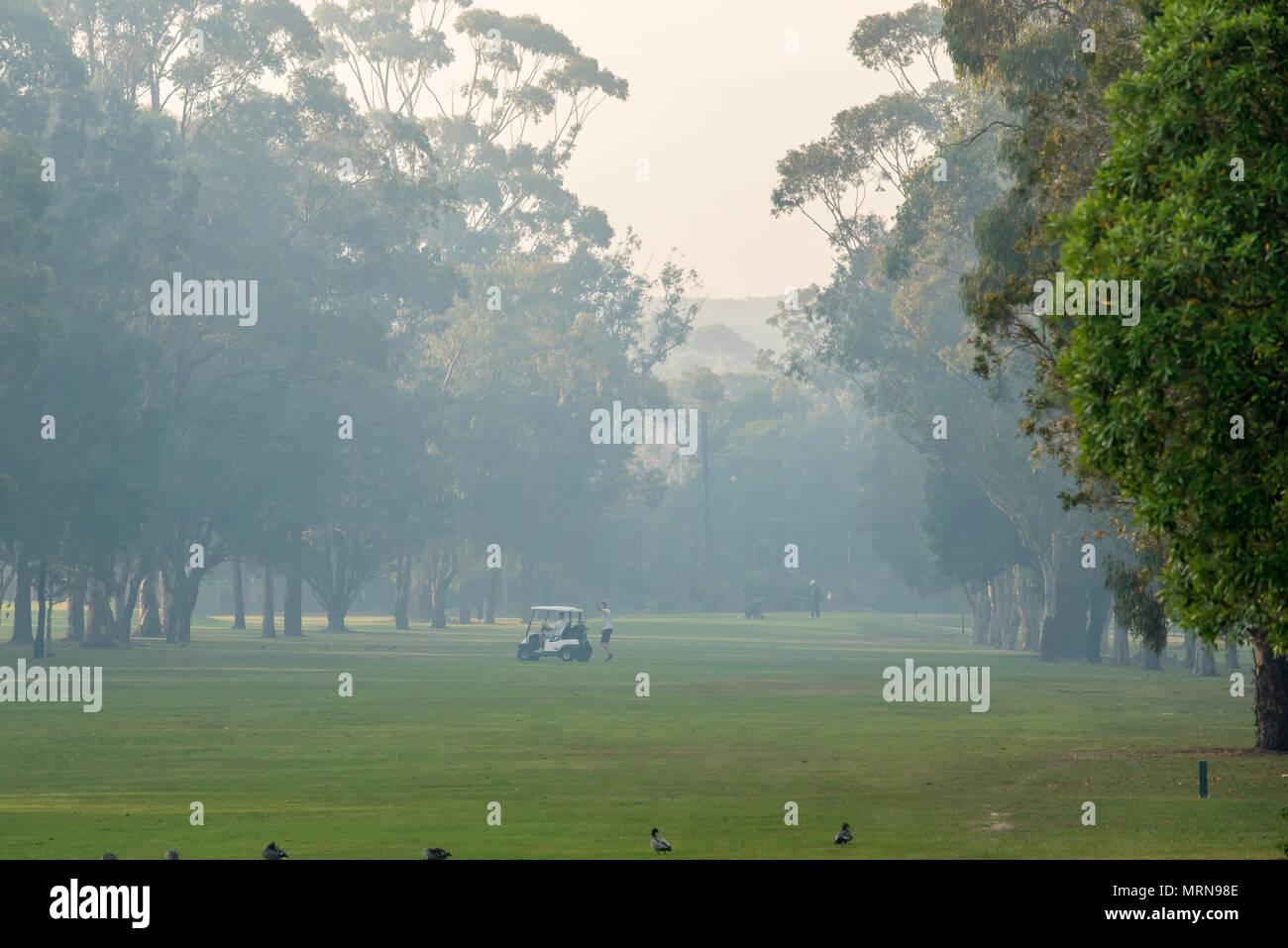 Sydney, Australien, 26. Mai 2018, bei schönem Wetter der regelwidrigen Golfspieler auf. An diesem Wochenende viele Teile von Sydney sind eingehüllt in Rauch aus gefahrenminderung Brennen aber das stoppte diese Golfspieler an einem Kurs in Norden Turramurra aus bei einer Runde. Gefahrenminderung Verbrennungen durch Feuer Behörden in den kühleren Monaten durchgeführt, um das Risiko oder hoher Intensität Brände im Sommer zu reduzieren. Contributor: Stephen Dwyer/Alamy Stock Foto Stockfoto