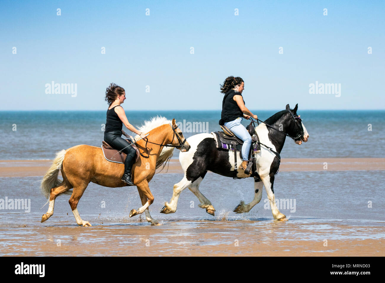 Reiter in Southport, UK. Mai 2018. Wetter in Großbritannien. An einem schönen sonnigen Feiertag am Sonntagnachmittag reiten Kirsten Hall [L] und Kay Egerton [R] aus Blackburn ihre geliebten Pferde entlang der Flut am goldenen Sandstrand von Southport Beach in Merseyside. Quelle: Cernan Elias/Alamy Live News Stockfoto