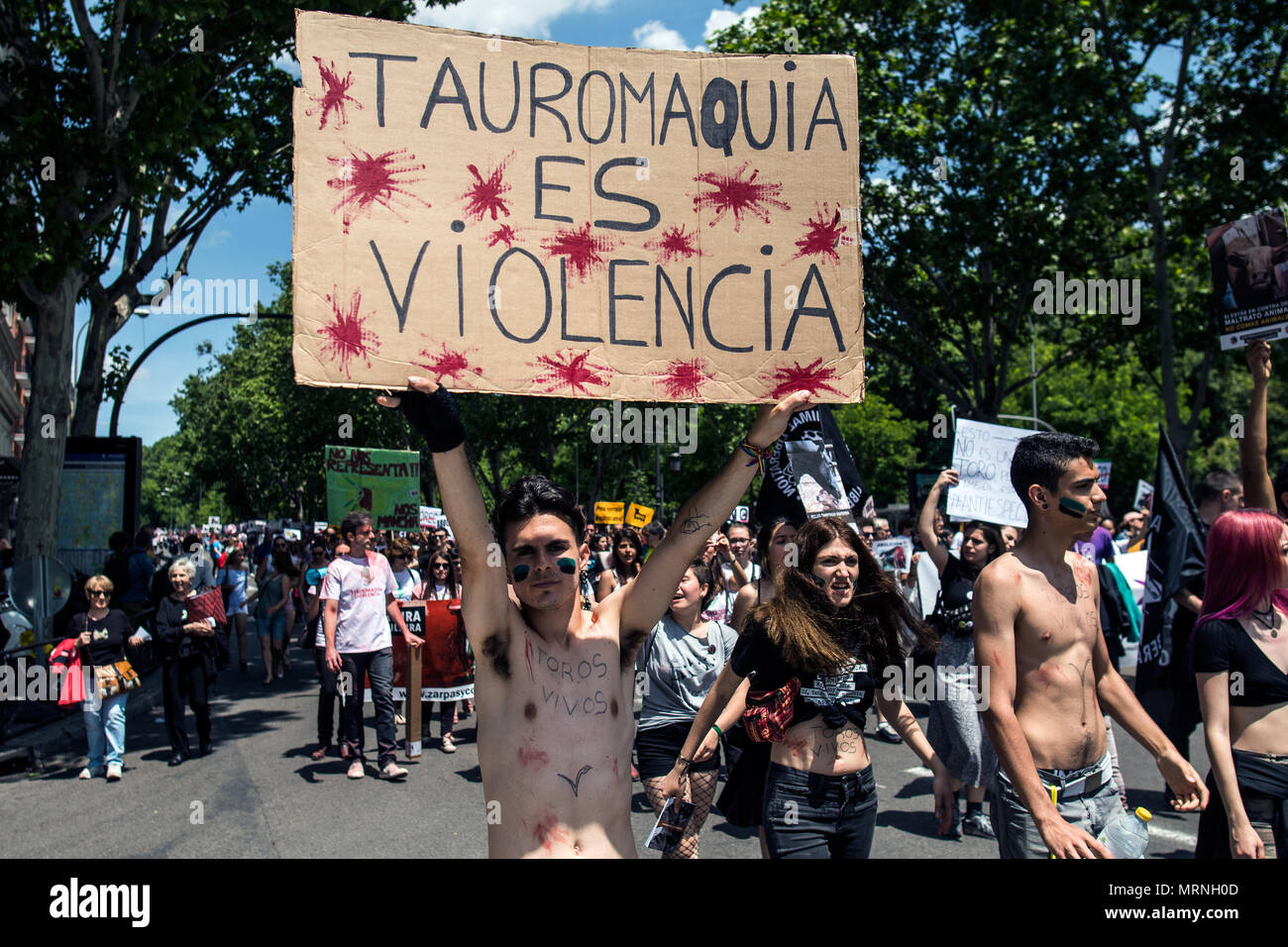 Madrid, Spanien. 27. Mai, 2018. Anti-corrida Demonstrant tragen ein Schild mit der Aufschrift "Stierkampf ist Gewalt" während einer Demonstration anspruchsvollen Stierkampf und das Leiden von Tieren abzuschaffen, in Madrid, Spanien. Credit: Marcos del Mazo/Alamy leben Nachrichten Stockfoto