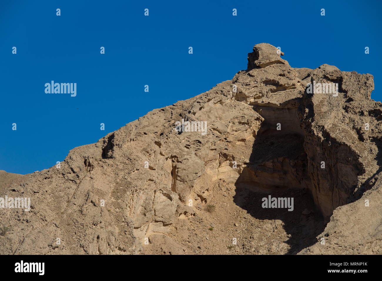 Al Ain, Abu Dhabi. Stockfoto