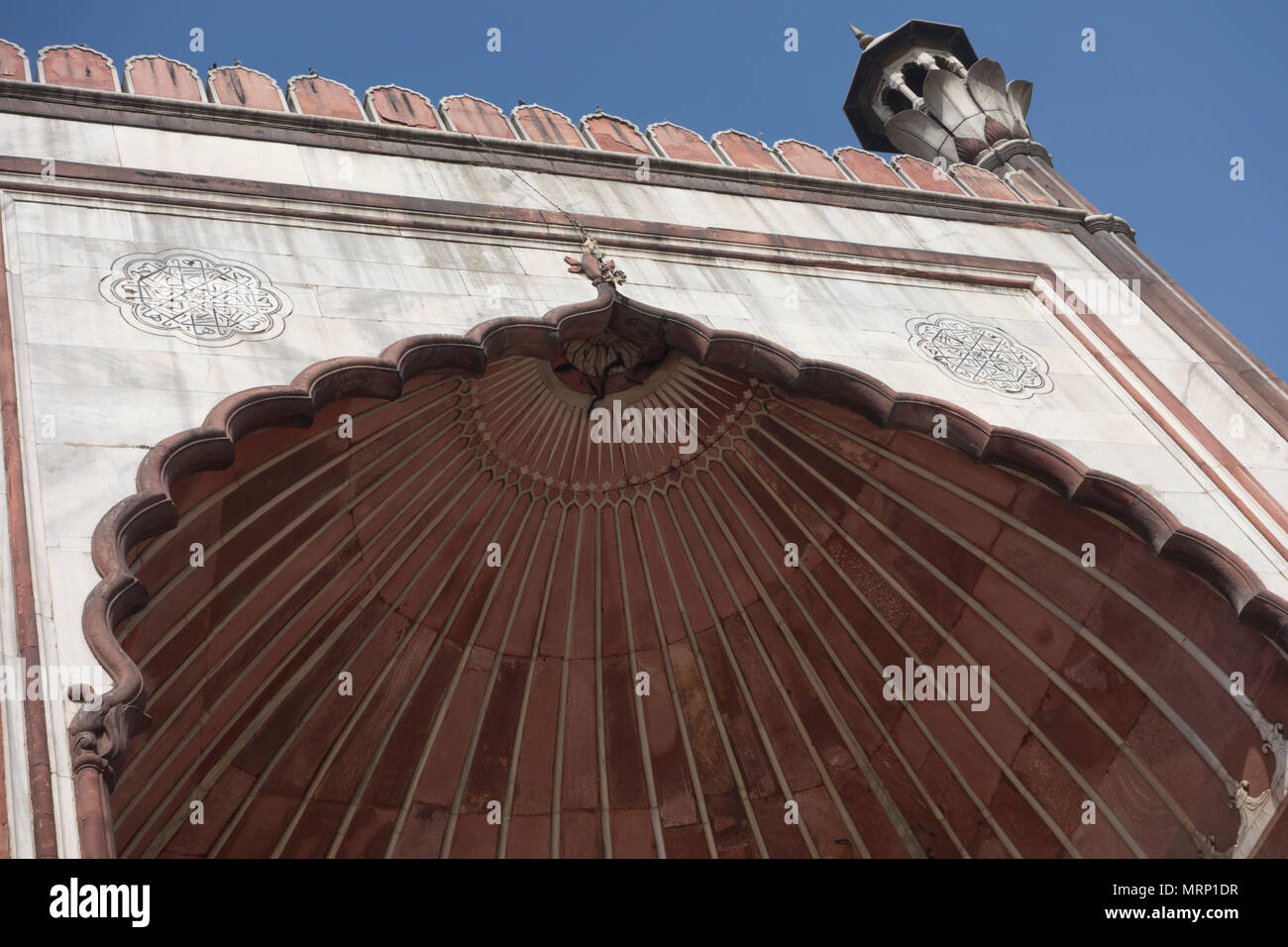 Detail der Jama Masjid Moschee, Old Delhi, Delhi, Indien Stockfoto