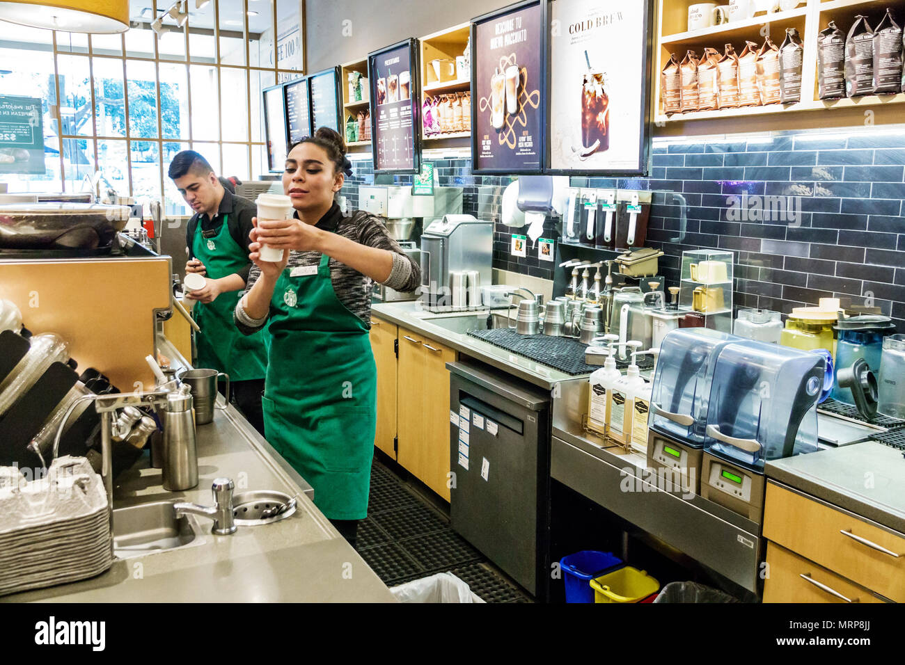 Mexiko-Stadt, Polanco, Hispanic, Immigranten, Mexikaner, Starbucks Coffee, Café, Kaffeehaus, Theke, innen, weibliche Frauen, Barista MX180309005 Stockfoto