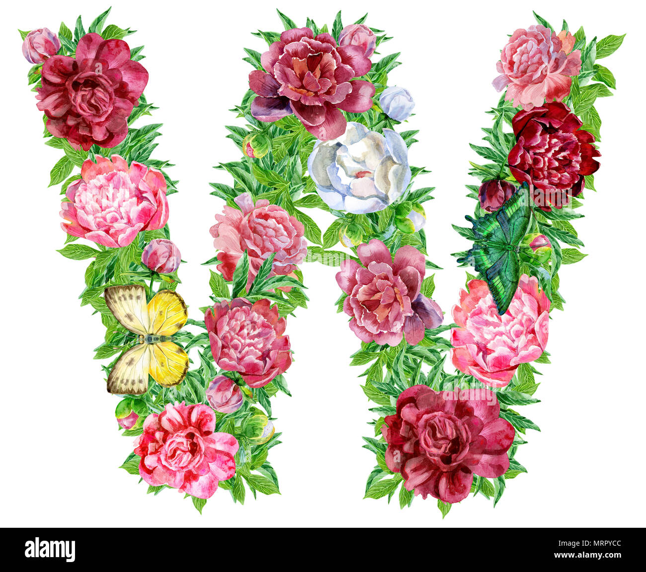 Buchstabe W Der Aquarellmalerei Blumen Isolierte Hand Auf Einen Weissen Hintergrund Hochzeit Design Gezeichnet Englische Alphabet Stockfotografie Alamy