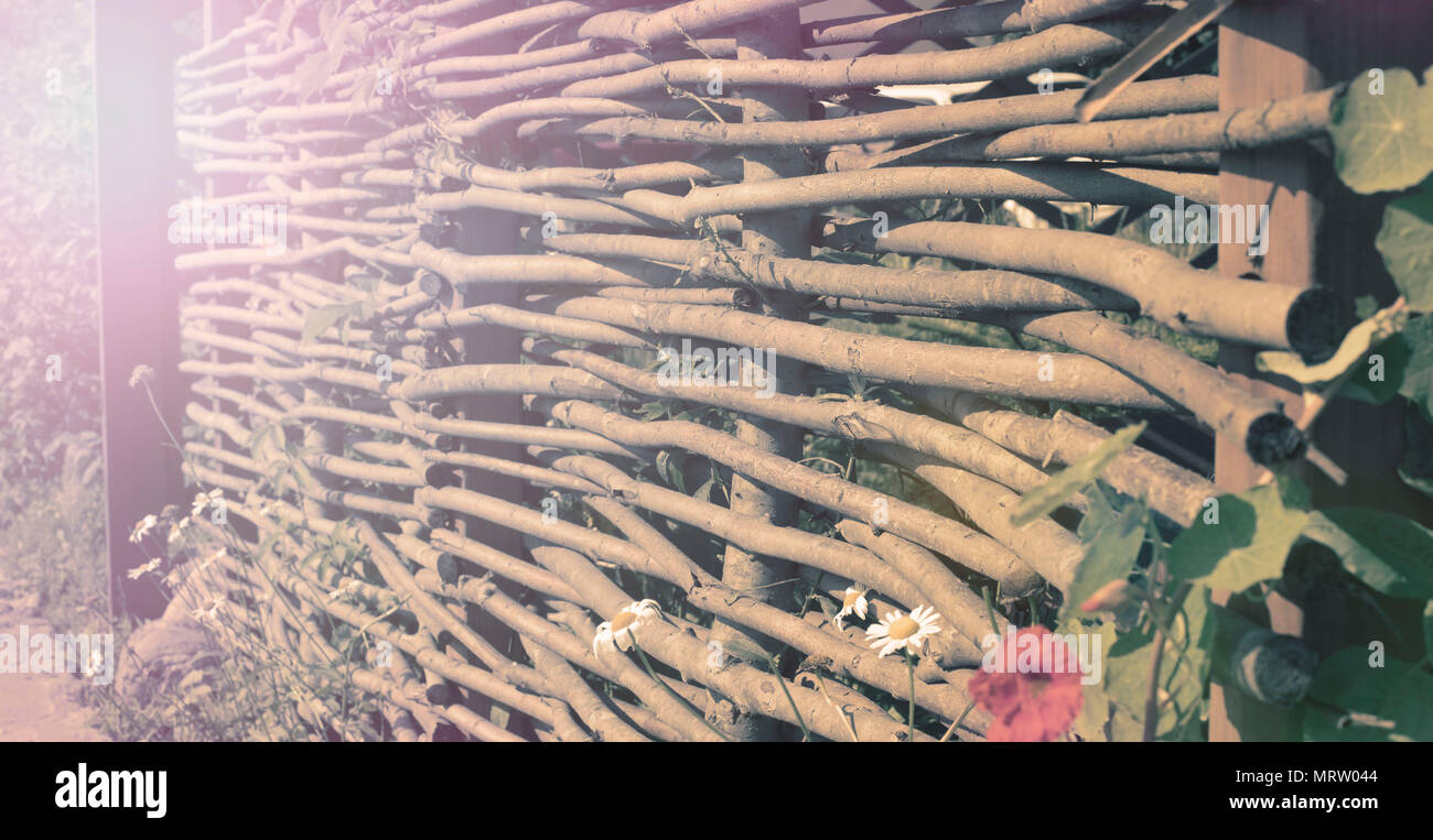 Banner natürlichen Hintergrund alten rustikalen Zaun. Rattan Holz Textur Stockfoto