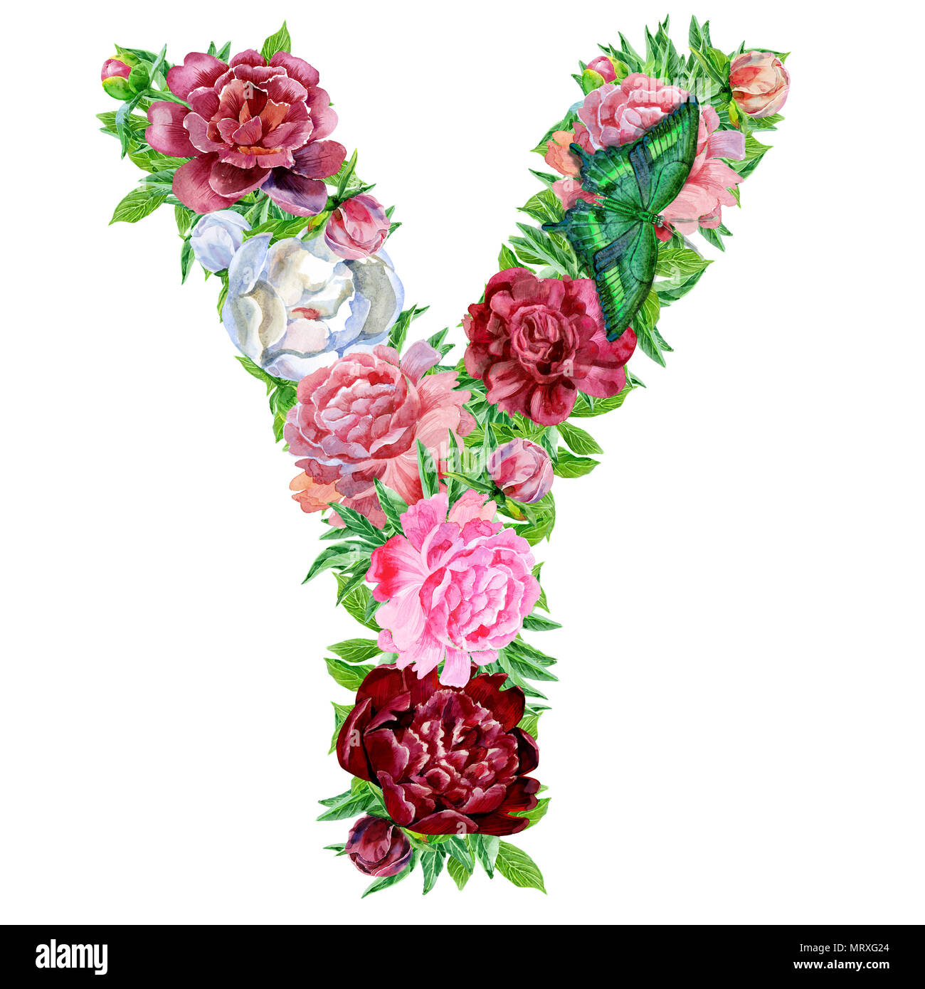 Buchstabe Y von Aquarell Blumen, isolierte Hand auf einen weißen  Hintergrund, Hochzeit Design gezeichnet, englische Alphabet Stockfotografie  - Alamy