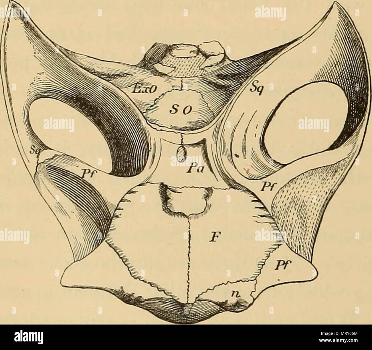 " Transaktionen der amerikanischen philosophischen Gesellschaft" (1771) Stockfoto