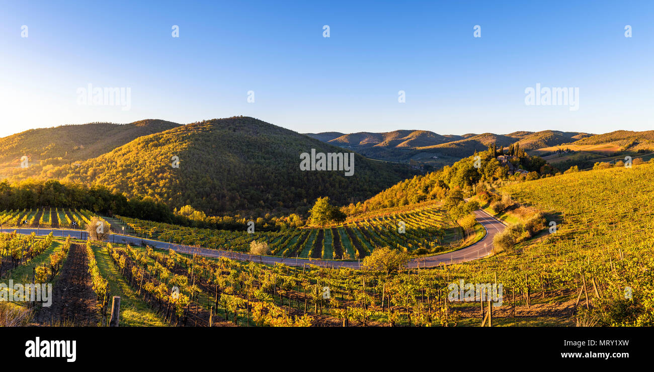 Greve in Chianti, Provinz Florenz, Toskana, Italien. Bauernhaus und Weinberge bei Sonnenaufgang Stockfoto