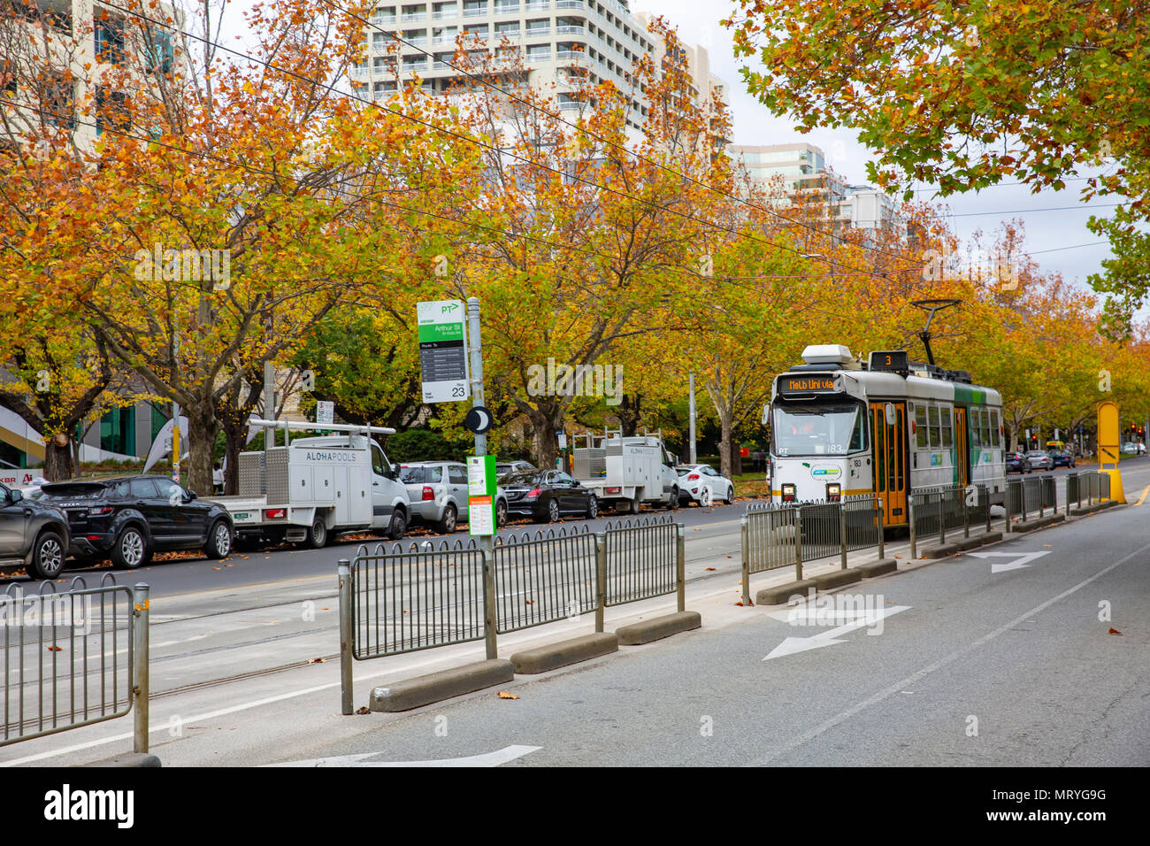 Öffentliche Verkehrsmittel Tram in Melbourne St Kilda Road, Melbourne, Victoria, Australien Stockfoto