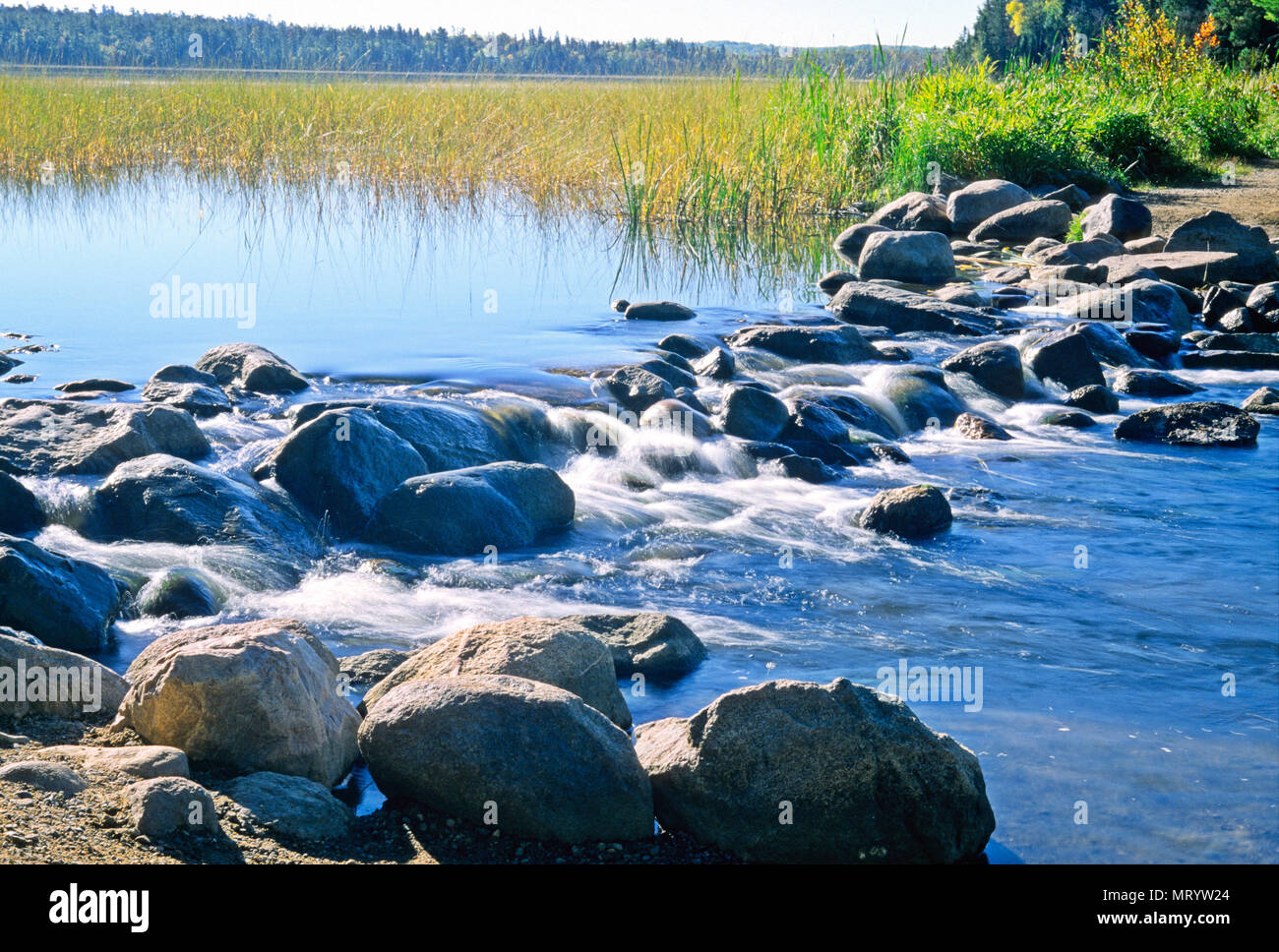 Der Ufer des Mississippi fließt vom Lake Itaska im Itaska State Park im Norden Minnesotas. Stockfoto