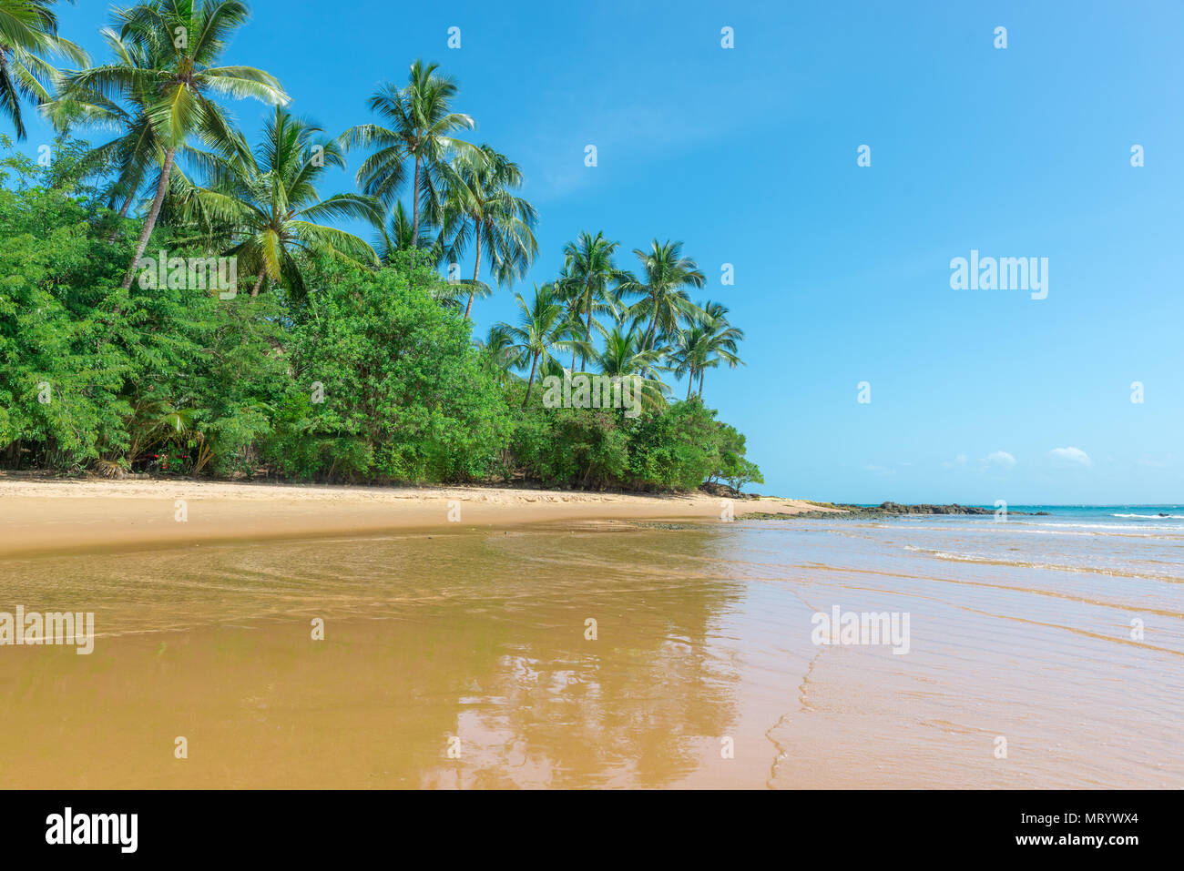 Isolierte Paradise Beach an einem schönen sonnigen Tag als Hintergrund Stockfoto