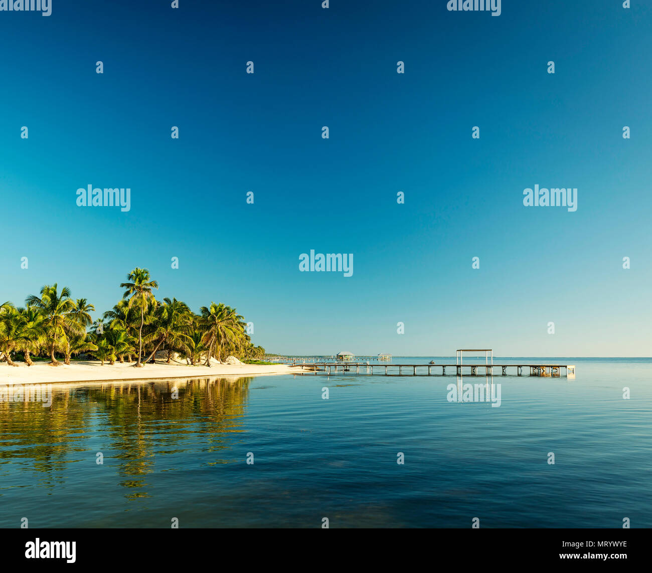 Tropische Karibik Strand Ziel von Ambergris Caye, Belize Stockfoto