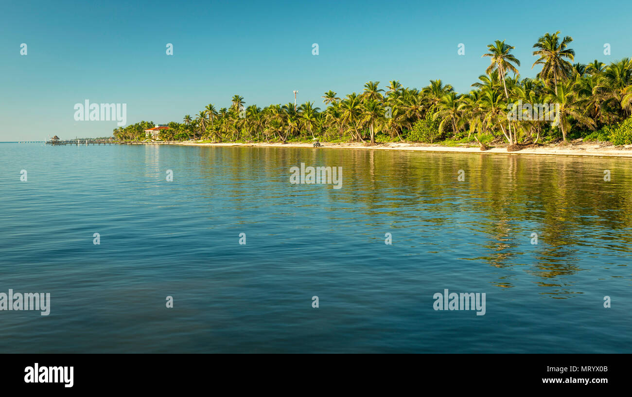 Tropische Karibik Strand Ziel von Ambergris Caye, Belize Stockfoto