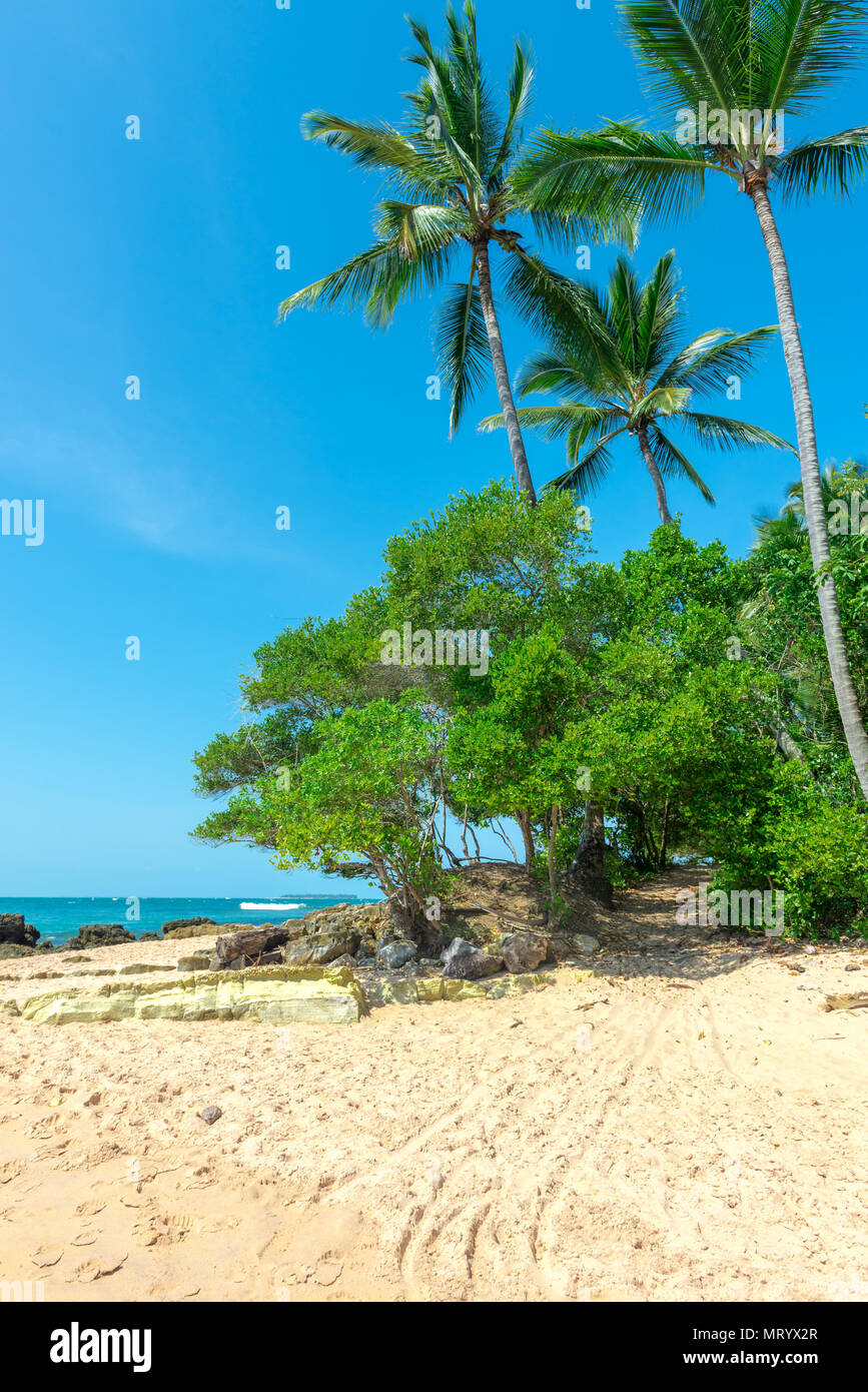 Isolierte Paradise Beach an einem schönen sonnigen Tag als Hintergrund Stockfoto
